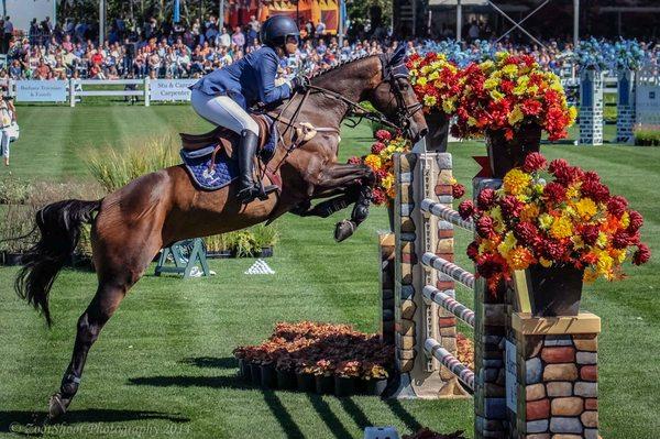 From my 2014 shoot of the Equestrian event.