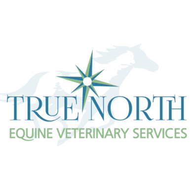 True North Equine Veterinary Services