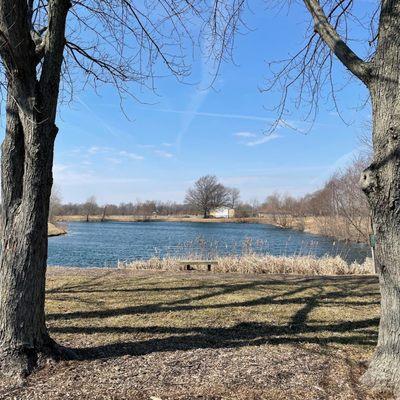 The disc golf trail goes around this pond