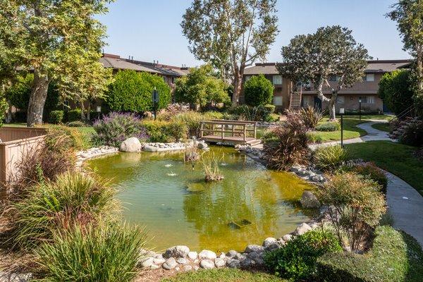 Casa Sierra features a beautifully landscaped koi pond, walking path, and bridge in the main courtyard.