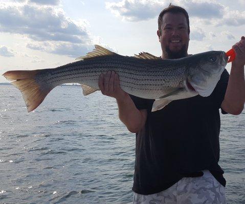 Boston Harbor Striper