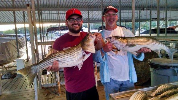 May 22 - Catching limits of striper on Lake Texoma daily and catching some good sized fish!