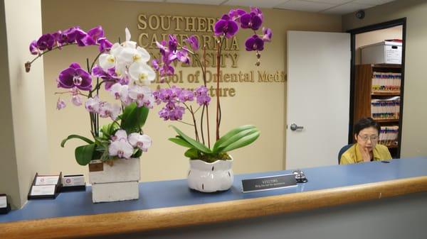 SCU SOMA Acupuncture Clinic