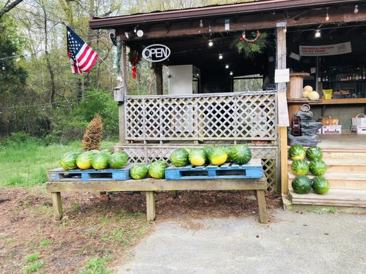 Florida Watermelons are in Stock! 3/30/2021