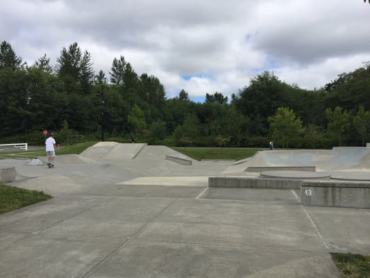 Scooters in the skate bowl