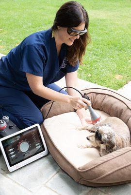 Dr. Tori of Balanced Pet Vet performs laser therapy for pain management and mobility. She also uses acupuncture and massage on her patients.