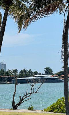 Lovely yatch parked in the backyard of someone's home.