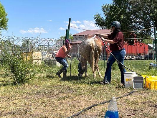 Barn fun, 2022