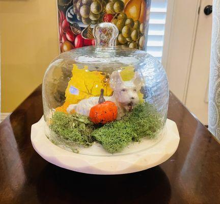 My Adorable Marble Dome with Glass, I turned into Decor!