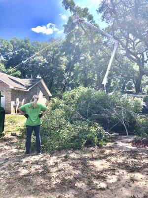 Back yard tree work.