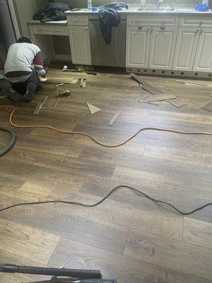 Replacing our old engineered floor with LVP. Amazing work!