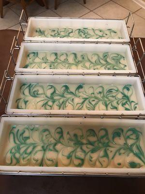 White Gardenia in the mold