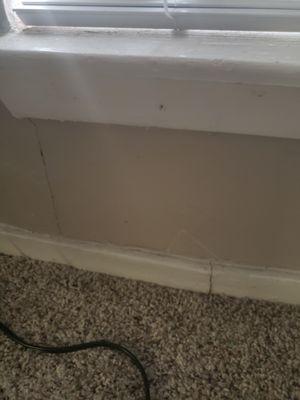 Foundation cracks maybe