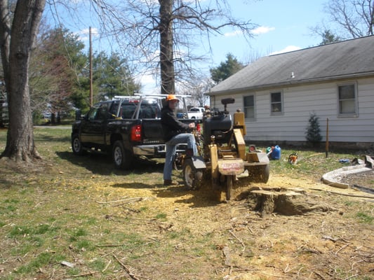 Stump Grinding - New Britain , PA