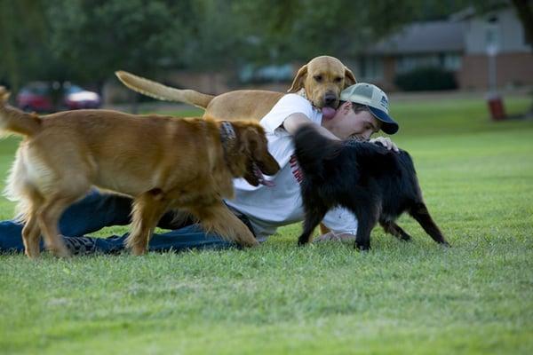 Found this awesome picture on this guys blog: http://threedubs.blogspot.com/2007/08/dubs-memorial-park.html