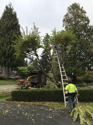 A-1 Tree Service Eastside