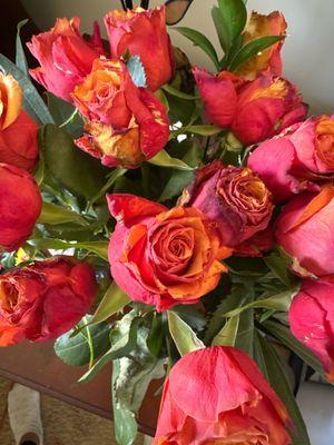 Wilted/browned flowers before they've fully bloomed