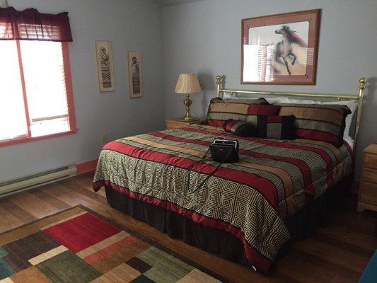 Springfield House Bed & Breakfast