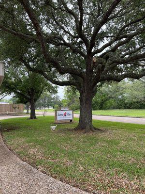 Front of the Office. Plenty of Grass for animals to run around. Probably need a leash