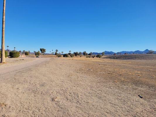 Former fairway is now returning to sand and scrub