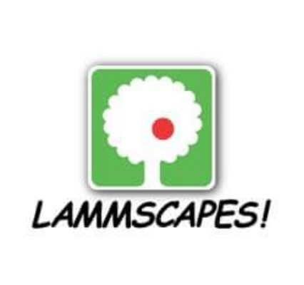 LAMMSCAPES!