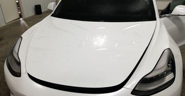 Tesla Model 3 Paint Protection