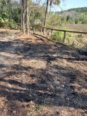 Tree & Stump Grinding (After)