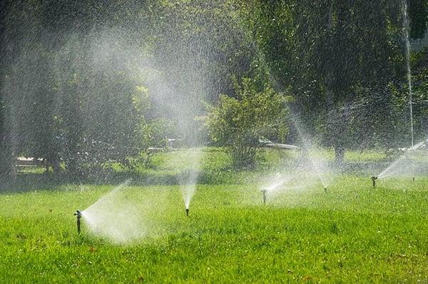 Father & Sons Sprinklers