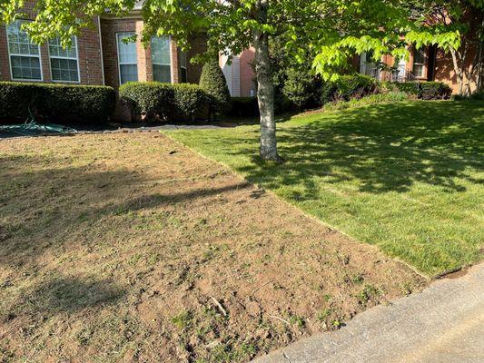 Days after starting sod project.