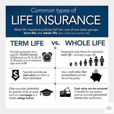 Term vs Whole life insurance