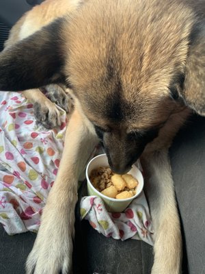 I had a burrito but also got a bowl for my pup. Great idea. We both enjoyed a good breakfast.