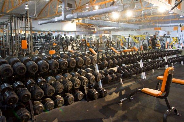 Wide Variety of Sturdy and Clean Dumbbells up to 145lbs