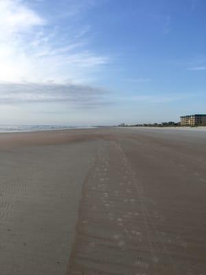 On the beach in front of condo. Very secluded