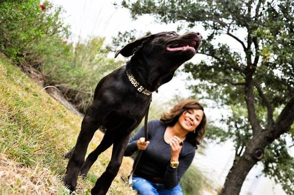 Walking a chocolate lab puppy at the Domain