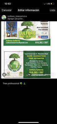 Culture tree service