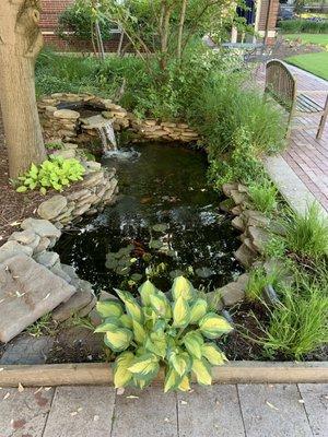 Pond in the courtyard