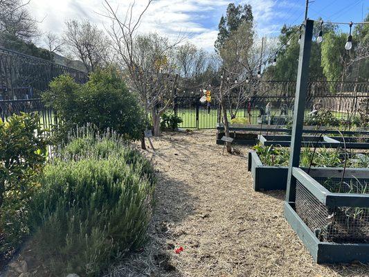 Gardening area