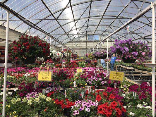 Hot and humid day in the greenhouse