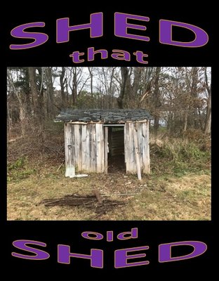 Shed that old Shed