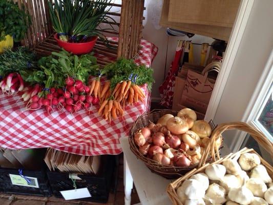 Abundance of fresh, delicious veggies!