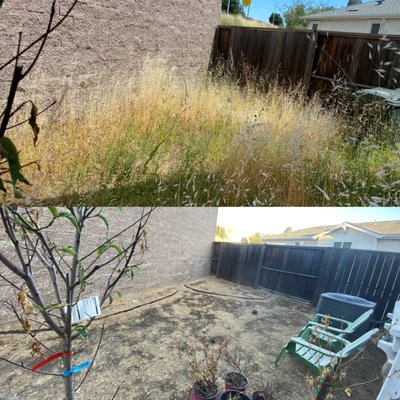 Before and after the yard clean up