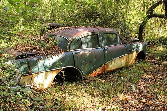 Buick in leaves