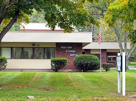 Welcome to Middletown Veterinary Hospital!