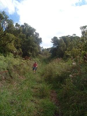 This is what they mean when they refer to the verdant landscape on the Interior Trek.