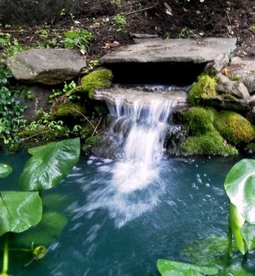 Pond Maintenance