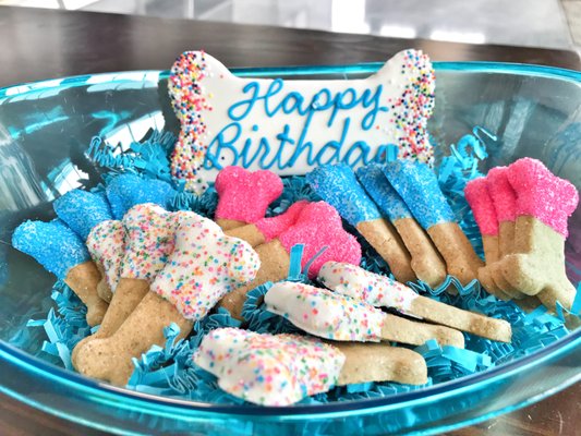 Birthday Pawty Treats!