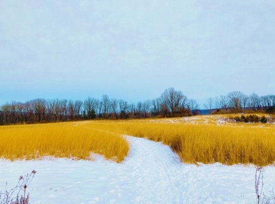 Green Hill Preserve