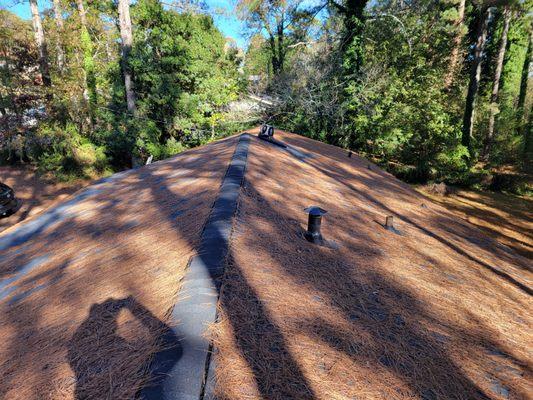 Before roof cleaning