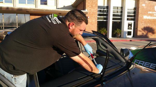 Windshield Replacement