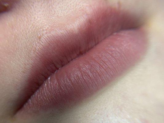 Healed Lip Blush